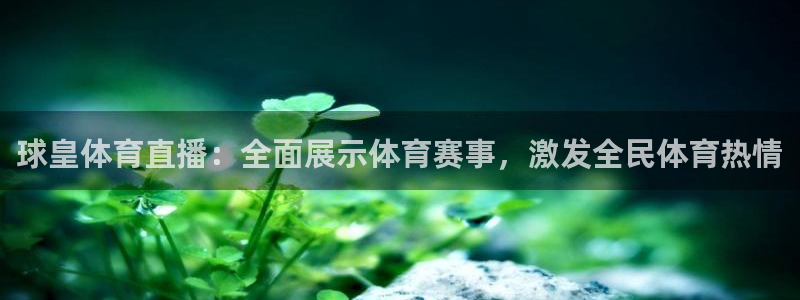 球皇体育直播：全面展示体育赛事，激发全民体育热情