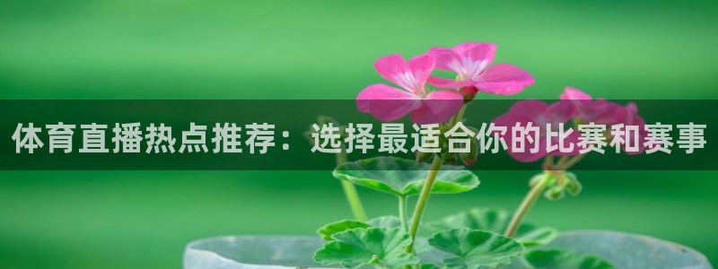 体育直播热点推荐：选择最适合你的比赛和赛事