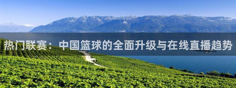 热门联赛：中国篮球的全面升级与在线直播趋势